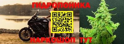 гидра Можайск