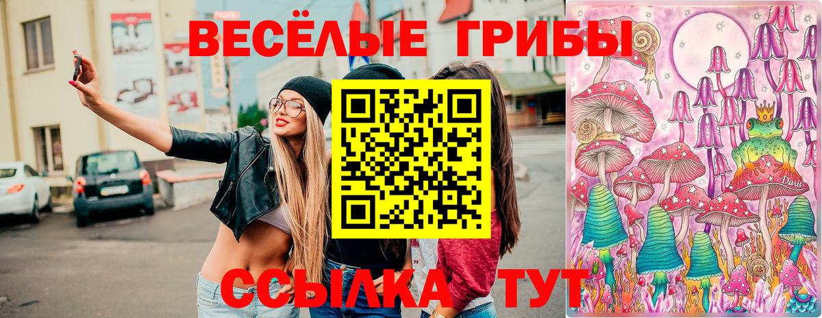 Учалы  Псилоцибиновые грибы GOLDEN TEACHER  Вход с VPN  Псилоцибиновые грибы GOLDEN TEACHER 
